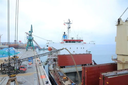 首批 海翔码头开拓出口贸易业务,目的地是