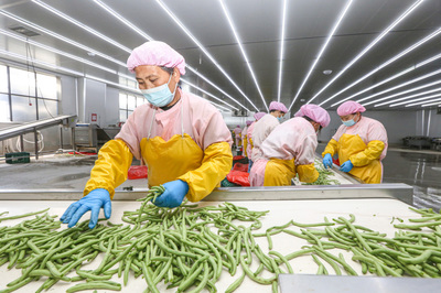 郑蒲港新区绿色食品出口忙